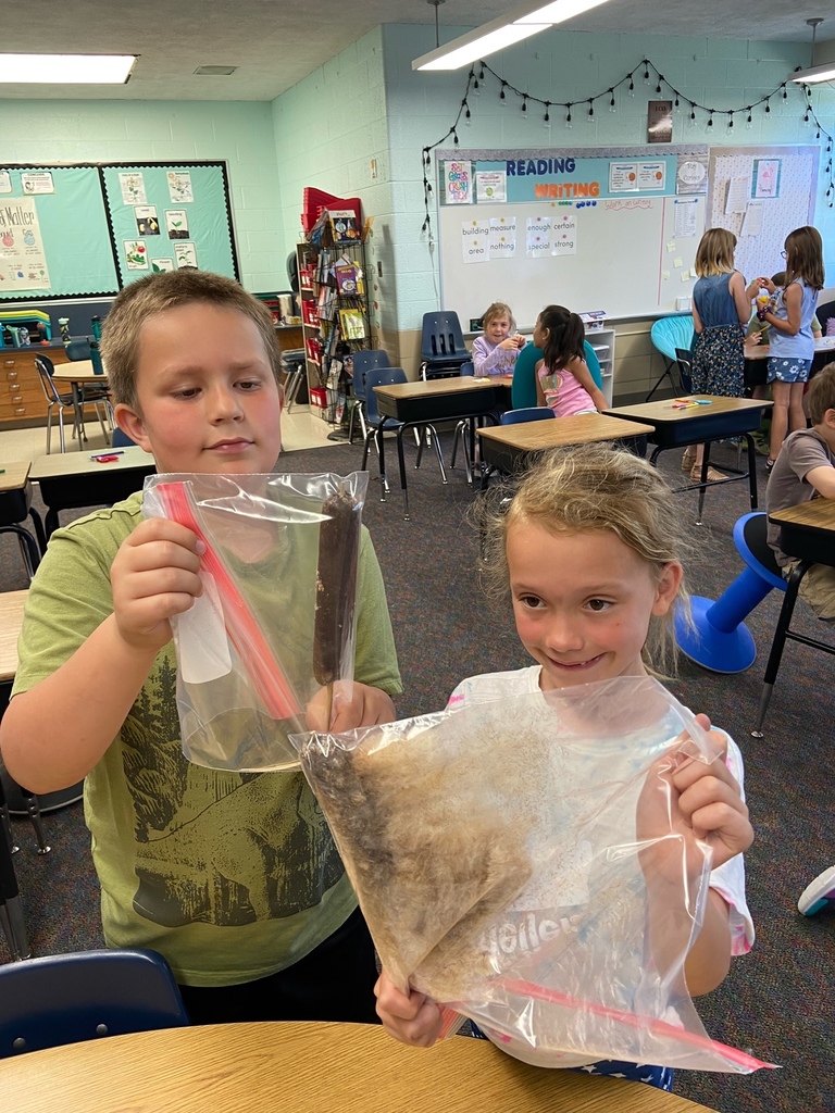 students and seeds