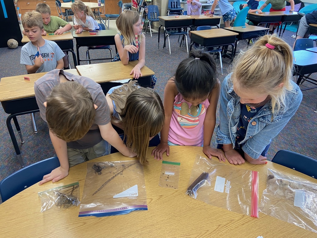 students and seeds